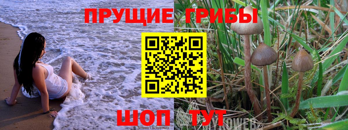 Саяногорск  Псилоцибиновые грибы мицелий  Вход с VPN 