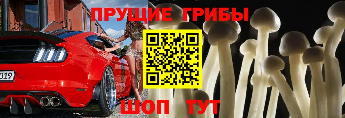 Псилоцибиновые грибы Magic Shrooms Саяногорск