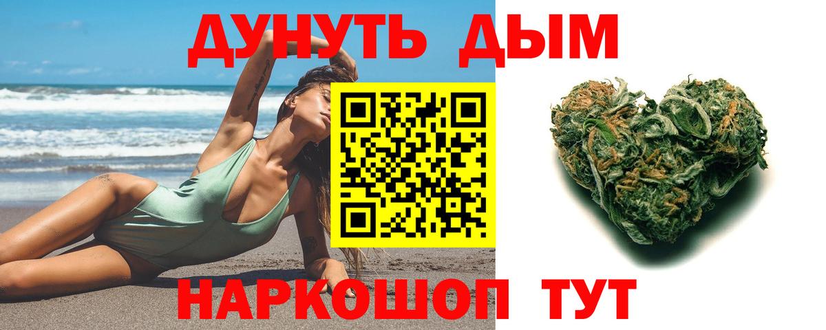 Конопля сатива Саяногорск