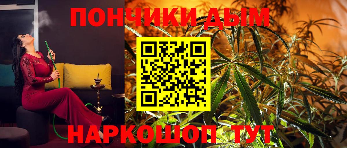 Бошки марихуана гибрид  Вход с VPN  МАРИХУАНА тримм  Саяногорск  Конопля индика 